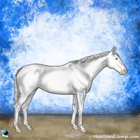 Horse Color:Silver Perlino Roan Dun 