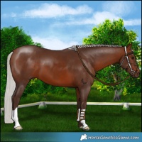 Horse Color:Silver Brown 