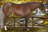 Horse Color:Silver Brown 
