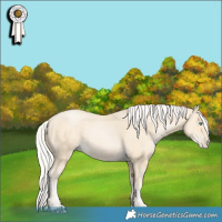 Horse Color:Silver Smoky Black Pearl 
