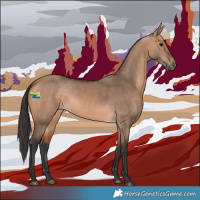 Horse Color:Bay Dun
