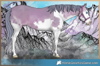 Horse Color:Watercolor Bay Splash 