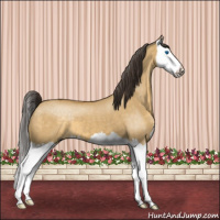 Horse Color:Buckskin Dun Splash