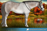 Horse Color:White Spotted Liver Red Dun Roan 