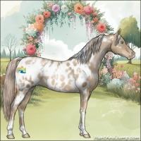 Horse Color:White Spotted Chocolate Palomino Pearl Blanket