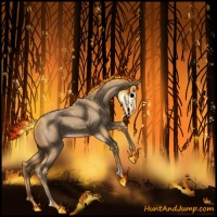 Horse Color:Red Roan 