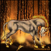 Horse Color:Red Roan 