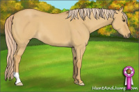 Horse Color:Palomino Dun 