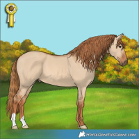 Horse Color:Red Dun 