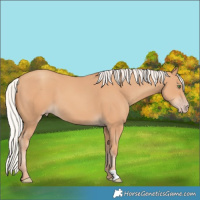 Horse Color:Silver Classic Champagne