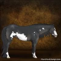 Horse Color:Black Frame 