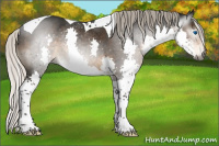Horse Color:Gray Silver Smoky Black Splash Tobiano 