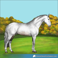 Horse Color:Gray White Spotted Brown Mushroom Tobiano