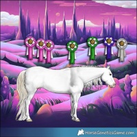 Horse Color:Watercolor Plaid Liver Red Dun Onyx Sabino