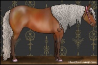 Horse Color:Silver Bay 