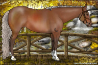 Horse Color:Silver Brown 