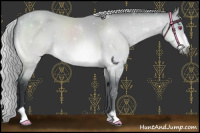 Horse Color:Silver Bay Chinchilla Sabino 