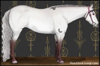 Horse Color:Chocolate Silver Buckskin Chinchilla Dun