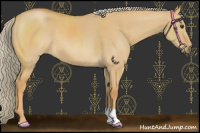 Horse Color:Palomino Dun 