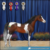 Horse Color:Brown Splash Tobiano