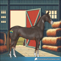 Horse Color:Liver Chestnut Sabino 