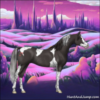 Horse Color:Smoky Black Splash Tobiano Rabicano
