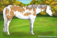 Horse Color:White Spotted Silver Buckskin Splash 