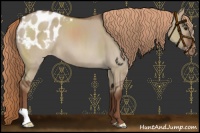 Horse Color:Liver Red Dun Appaloosa 