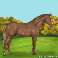 Horse Color:Chestnut Splash Frame 