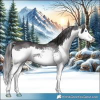 Horse Color:White Spotted Smoky Black Splash Rabicano 