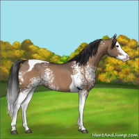 Horse Color:White Spotted Brown Dun Splash Tobiano Rabicano 