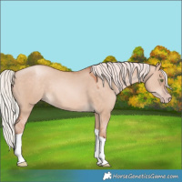 Horse Color:Silver Sable Champagne Dun Tobiano Rabicano