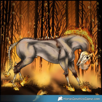 Horse Color:Liver Red Dun