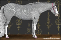 Horse Color:Silver Grullo Chinchilla Splash