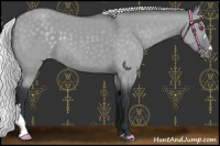 Horse Color:Silver Grullo Chinchilla Appaloosa 