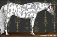 Horse Color:Silver Grullo Chinchilla Near Leopard