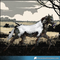 Horse Color:Gray Void Black Sabino Tobiano Rabicano  and Gray Black Tobiano Rabicano 