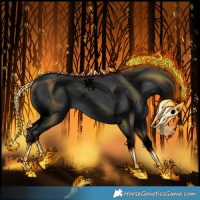 Horse Color:Void Black Tobiano Rabicano and Void Black Tobiano