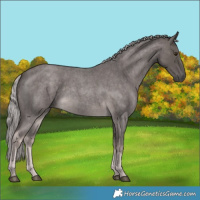 Horse Color:Platinum Chocolate Palomino Roan 