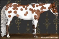 Horse Color:Silver Brown Sabino Tobiano Frame Rabicano