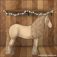 Horse Color:Gold Champagne 