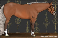 Horse Color:Silver Brown Sabino 