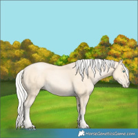 Horse Color:Silver Buckskin Pearl 