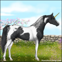 Horse Color:Black Tobiano 