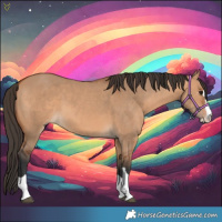 Horse Color:Bay Dun 