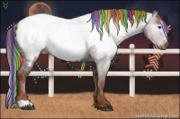 Horse Color:Gray Painted Chestnut Appaloosa Rabicano 