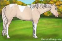 Horse Color:Silver Sable Champagne Dun Tobiano 