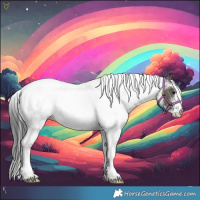Horse Color:White Spotted Grullo Rabicano
