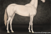 Horse Color:Perlino 