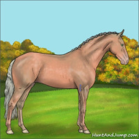 Horse Color:Watercolor Gold Cream Champagne Sabino 